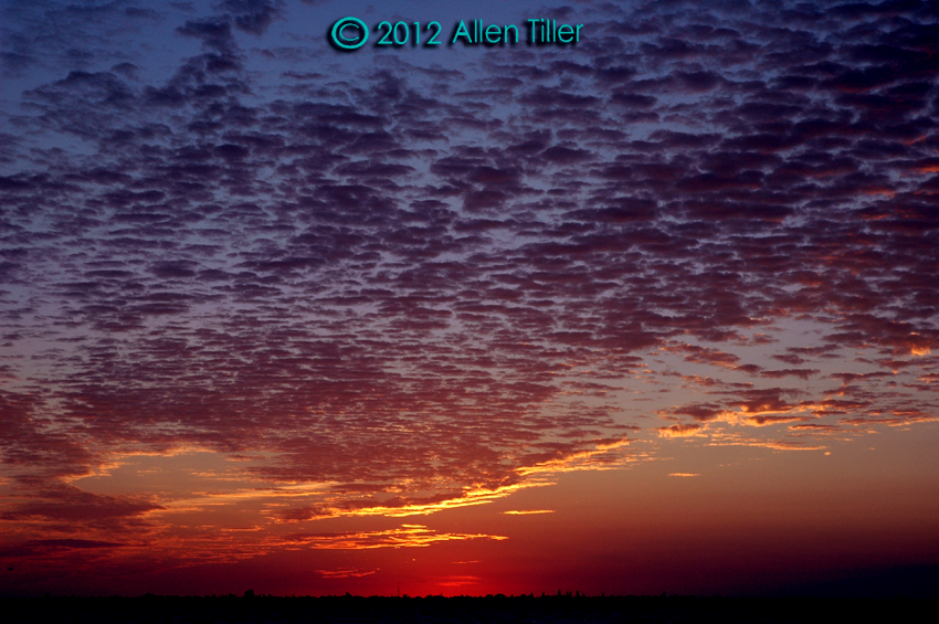 Buttermilk Sky Allen Tiller